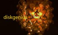 diskgenius dos版下载